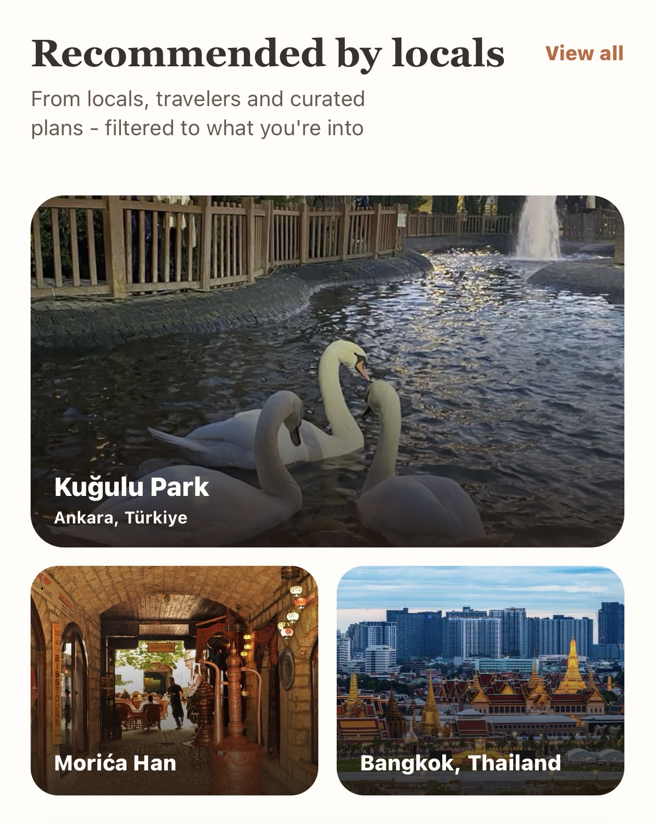 Recommendations from locals in Ameenah